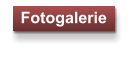 Fotogalerie