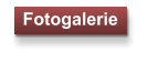 Fotogalerie