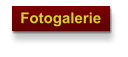 Fotogalerie