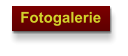 Fotogalerie