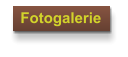 Fotogalerie