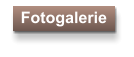 Fotogalerie